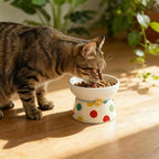 Elevated Ceramic Cat Bowls, 15°Raised Cat Food Bowl,Whisker Friendly Anti Vomiting Cats Dishes,Anti Vomiting&Protect Pet's Spine,Feeder Dish for Indoor Kitty and Small Dogs (Polka dot Tall cat Bowl)