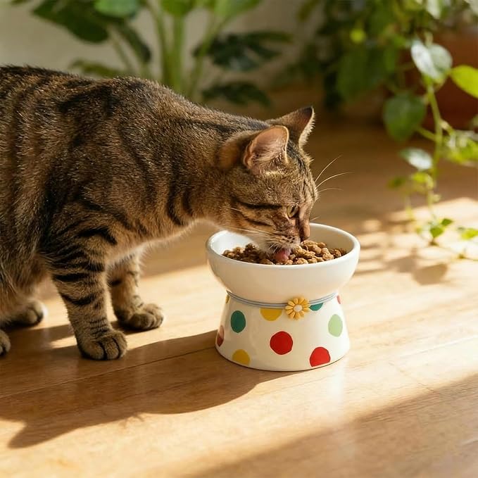 Elevated Ceramic Cat Bowls, 15°Raised Cat Food Bowl,Whisker Friendly Anti Vomiting Cats Dishes,Anti Vomiting&Protect Pet's Spine,Feeder Dish for Indoor Kitty and Small Dogs (Polka dot Tall cat Bowl)