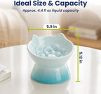 Lynx Ceramic Raised Slow Dog & Cat Elevated Food Bowl, Arctic Ombre | Tilted 15° Elevated Pet Food Bowl, Whisker-Friendly, Anti-Choking Dish, Dishwasher Safe, Nonslip, Food Grade Material