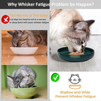 Ceramic Cat Bowls,Shallow Cat Dishes for Food and Water, 6 inch Matte Finish Wide Cat Food Bowl,Whisker Fatigue Free Pet Puppy Kitten Bowl Set of 3,Dishwasher Safe