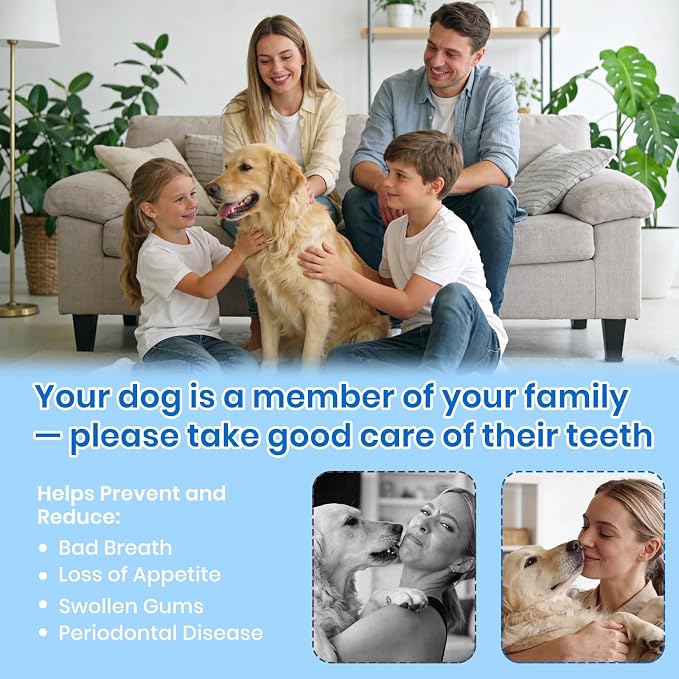 Dog Plaque Remover for Teeth,with UV Sanitizing Chamber | Stores & Sanitizes Metal Tips After Use,6 Cleaning Modes for Different Needs,dog teeth cleaning,plaque remover for teeth