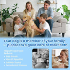 Dog Plaque Remover for Teeth,with UV Sanitizing Chamber | Stores & Sanitizes Metal Tips After Use,6 Cleaning Modes for Different Needs,dog teeth cleaning,plaque remover for teeth