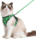 rabbitgoo Cat Harness and Leash Set, Escape Proof Vest, Grass Green | Soft Breathable Mesh, Easy Adjustable Fit, Snap Buckles, Sturdy Clip, Reflective Strips, for Medium to Large Cats Walks, M