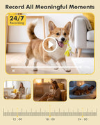 Dzees 2K Indoor Security Cameras, 360° WiFi Pet Camera, 4-Pack | Phone app, 5GHz and 2.4GHz WiFi, wired design, 2-way audio, motion tracking, night vision