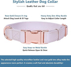 Soft Leather Dog Collar and Leash (6.6') Set - Stylish Rose Gold Heavy Duty Metal Buckle, 4 Adjustable Lengths Leash for Small Medium Large Dogs - Comfortable & Easy to Clean L(15.4"-24.8"), Gold Pink