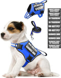 Small Service Dog Vest Harness and Leash Set+10 Patches Blue XS | Adjustable,Reflective,Do Not Pet Emotional Support Dog Vest with 2 Soft Padded Handle,MOLLE,for Everyday Training Hiking
