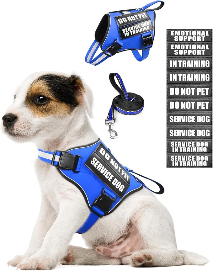 Small Service Dog Vest Harness and Leash Set+10 Patches Blue XS | Adjustable,Reflective,Do Not Pet Emotional Support Dog Vest with 2 Soft Padded Handle,MOLLE,for Everyday Training Hiking