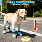KOOLTAIL Dog Socks Shoes for Hot Pavement to Prevent Licking Paws, Winter Dog Boots&Paw Protector for Hardwood Floors Anti Slip,Traction Control Grip Booties for Small Medium Large Senior Dogs,Blue M