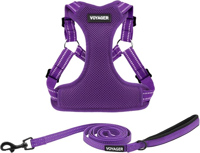Best Pet Supplies Voyager Adjustable Step-in Flex Breathable Mesh Dog Harness for Small Medium Large Dogs Leash Set (Purple), XL