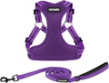 Best Pet Supplies Voyager Adjustable Step-in Flex Breathable Mesh Dog Harness for Small Medium Large Dogs Leash Set (Purple), M