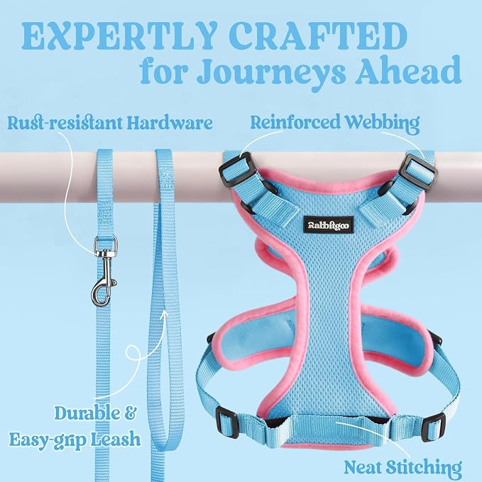 rabbitgoo Cat Harness and Leash Set, Escape Proof Vest, Light Blue & Pink | Soft Breathable Mesh, Easy Adjustable Fit, Snap Buckles, Sturdy Clip, Reflective Strips, for Medium to Large Cats Walks, M