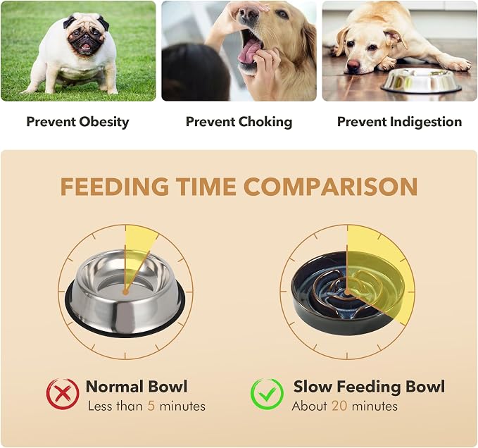 Havniva Raised Slow Feeder Dog Bowls, Elevated Dog Bowls Slow Feeder | 1.6 Cups Ceramic Dog Bowl Elevated with Acacia Wood Stand, Raised Dog Food Bowl, Puzzle Slow Feeder for Medium Dogs, Non-Slip