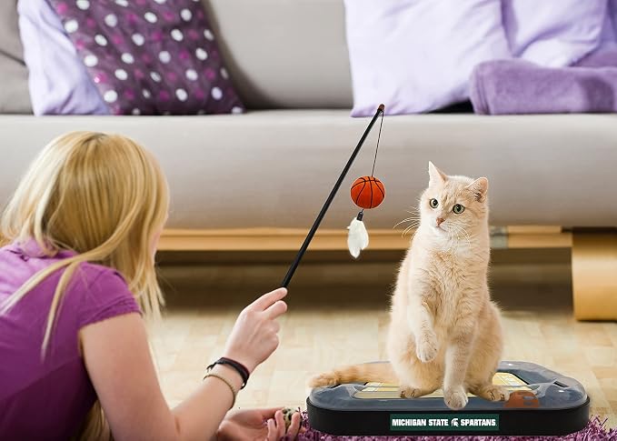 Cat Scratch Toy NCAA Michigan State Spartans Reversible Basketball Court Felt/Cardboard Cat Scratcher Toy. Interactive Cat Ball Bell. 6-in-1 CAT Toy: Cat Wand Poll with Catnip-Filled Plush Basketball