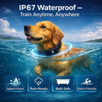 Dog Training Collar with Remote for Small & Medium Dogs (10–100lbs), 1300FT Range, 3 Training Modes (Beep/Vibration/Safe Shock), 9 Levels, Rechargeable Waterproof E-Collar