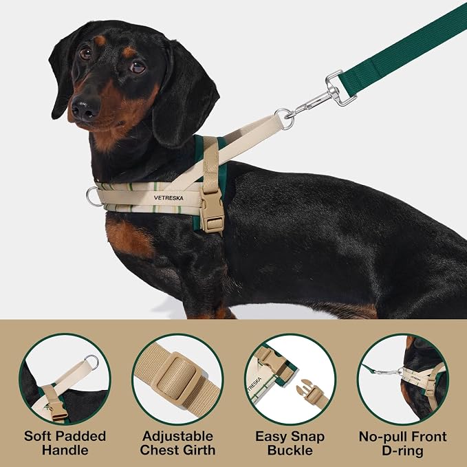 VETRESKA Dog Harness and Leash Set, Easy Walk Dog Harness, L | for Large Medium Dogs, No Pull Puppy Harness for Walking and Training, Adjustable, Anti-Twist Leash (Santal Forest)