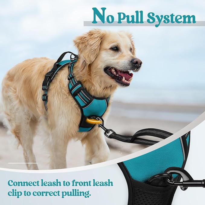 rabbitgoo Dog Harness No Pull with 2 Leash Clips, Adjustable Soft Padded, Reflective Oxford No Choke Pet Vest with Easy Control Handle for Large Dogs, Teal, L | No Choke with Handle, Adjustable Soft Padded, Reflective, Easy Control for Walking, Teal, L...