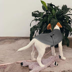 Queenmore XXL Dog Sweaters, Soft Fleece Vest Pullover Dog Jacket with Leash Hole, Warm Winter Dogs Clothes Cold Weather Doggy Dachshund Sweater for Large Dogs Cats Boy or Girl (Grey, XXL)