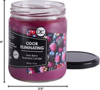 Very Berry Odor Eliminating Highly Fragranced Candle - Eliminates 95% of Pet, Smoke, Food, and Other Smells Quickly - Up to 80 Hour Burn time - 12 Ounce Premium Soy Blend
