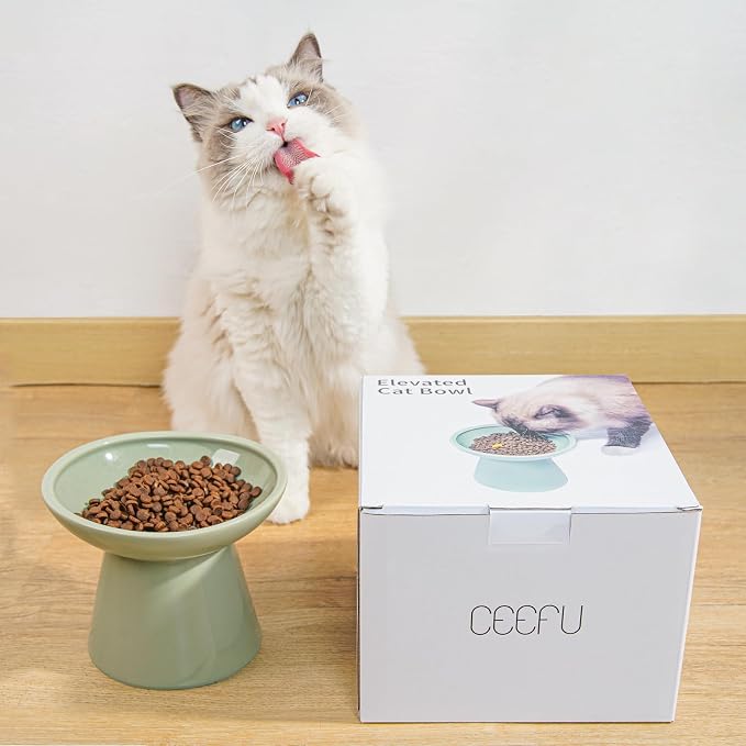 CEEFU 2-Pack Extra Wide Elevated Ceramic 6.2" Shallow Cat Food Bowls | Cat Dish for Whisker Fatigue Relief, 5" Height for Easy Feeding, Durable Raised, Sage Green