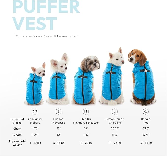 Gooby Puffer Vest - Grape, X-Large - Ultra Thin Zip Up Windbreaker with Dual D Ring Leash - Water Resistant Dog Sweater Coat for Small Dogs