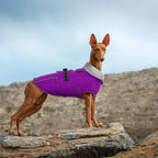 Lelepet Dog Winter Coats for Large Dogs Dog Jacket with Adjustable Buckle | Waterproof Reflective Pet Fleece Vest Windproof Cold Weather Coats with Adjustable Buckle & Leash Hole, Turtleneck, XXXL