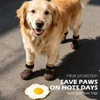 EXPAWLORER Non-Slip Dog Socks for Hardwood Floors to Prevent Licking, Dog Shoes for Hot Pavement Quick Walking, Dog Booties Boots & Paw Protectors with Grippers for Small Medium Large Senior Dogs XL