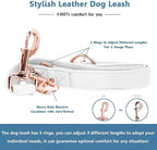 Soft Leather Dog Collar and Leash (6.6') Set - Stylish Rose Gold Heavy Duty Metal Buckle, 4 Adjustable Lengths Leash for Small Medium Large Dogs - Comfortable & Easy to Clean White S(12.2"-16.9")