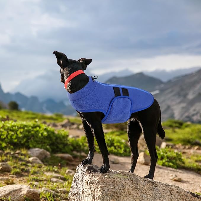 Queenmore Soft Fleece Dog Jacket, Warm Winter Coat with Leash Hole, Dachshund Sweaters for Small Dogs Cats Boy or Girl (Blue, S)
