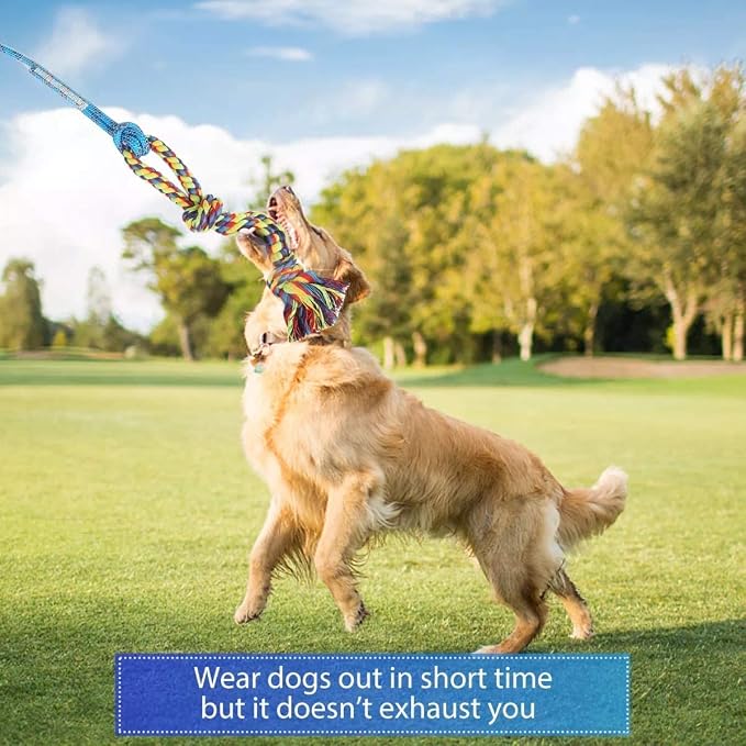 Flirt Pole for Dogs Interactive Chase Toy for Large Medium Small Puppy Dogs | For Chase and Tug of War, Dog Teaser Wand with Lure, Chewing Toy, for Outdoor Exercise & Training,Easy to Use,Carry, Sturdy