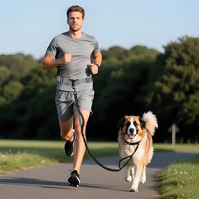 Hands Free Dog Leash for One Dog Up to 125 lb, Waist Pouch, Lumbar Support | Reflective bungee leash with adjustable 25-55 in belt. Walk, run, hike, or train one dog up to 125lbs. Gray.