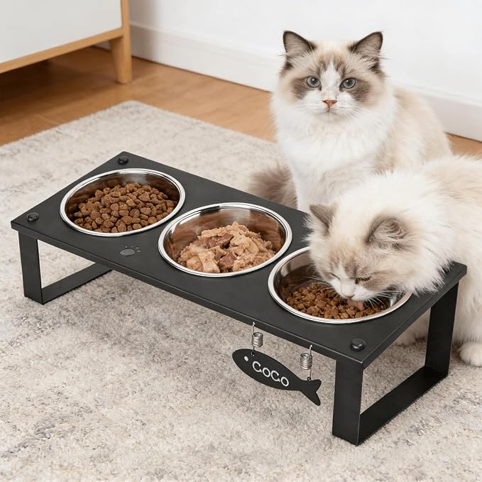 3 in 1 Elevated Cat Bowls with Splash proof Mat for Kittens, Puppies, Multi-pet Households, 10° Tilted Raised Cat Bowls Anti-Vomiting, 3 Wide Shallow Stainless Steel Bowls, Whisker Friendly, 3.5" Tall