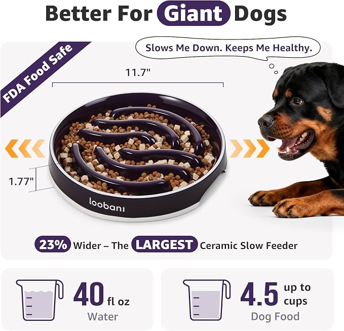 LOOBANI 4.5 Cups Ceramic Slow Feeder Dog Bowls Giant Dogs with Grip Handles | Heavy Ceramic, Stay in Place, Healthier Eating, Durable & Easy-Clean, Foam-Protected, Perfect for Fast-Eating Large Breeds