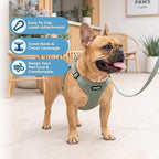 Best Pet Supplies Voyager Adjustable Step-in Flex Breathable Mesh Dog Harness for Small Medium Large Dogs Leash Set (Moss Green), M