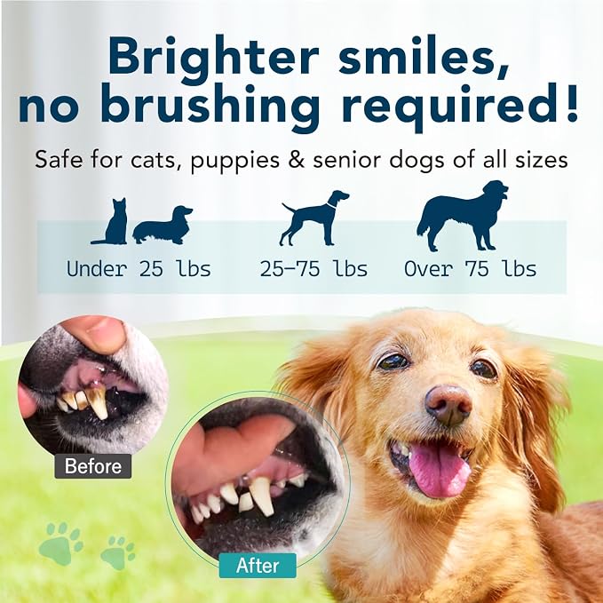 DentaAnimal No Brush Enzymatic Dog Toothpaste Vet Formulated 1.35 oz | Enzymatic Toothpaste for Dogs Easy Application Pet Dental Gel Breath Freshener Cat Toothpaste Dr Dental Wan Made in Japan