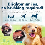 DentaAnimal No Brush Enzymatic Dog Toothpaste Vet Formulated 1.35 oz | Enzymatic Toothpaste for Dogs Easy Application Pet Dental Gel Breath Freshener Cat Toothpaste Dr Dental Wan Made in Japan