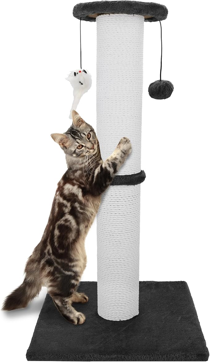 34-Inch Tall Cat Scratching Post for Large Cats, Stable Base, Black | Heavy-Duty Cat Scratcher, Extra-Tall Thick Post, Soft Natural Cotton Rope, Hanging Interactive Cat Toys, Indoor Cat Furniture