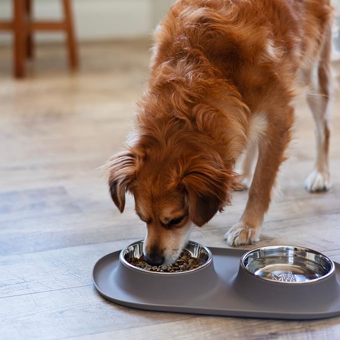 Messy Mutts Double Silicone Dog Feeder, Stainless Bowls, Medium, Grey | Non-Slip Silicone Double Dog Feeder With Two Removable Stainless Steel Bowls For Food And Water