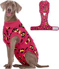 Kuoser Dog Recovery Suit After Surgery, Spay Neuter Surgical Suit for Dogs | Post Surgery Anti-Licking Dog Onesie Protects Wounds and Incisions, E-Collar & Cone Alternative Bodysuit for Female Male Dogs