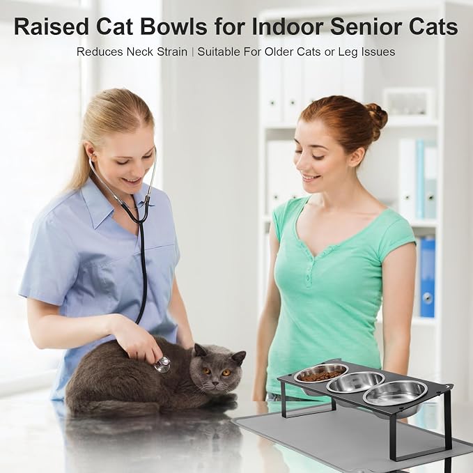 Elevated Cat Bowls with Food Mat, 10°Tilted Non-Slip Raised Cat Food Water Bowls Set, 3 Thick Stainless Steel Pets Dishes with Cute Metal Feeding Stand for Indoor Kitten Puppy, Anti-Vomiting