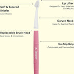 Jasper Microbrush Vet Approved Cat Toothbrush, Soft-Bristled Toothbrush Kit for Felines & Small Dogs, Non-Slip Handle with 2 Replaceable Tooth Brush Heads, Use with Cat Toothpaste, 2-Pack, Rose Pink