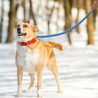 Mile High Life Dog Leash with Genuine Leather Connection, 6 FT/5 FT/4 FT | Rope Leash, Heavy Duty 360° Swivel Metal Clasp, for Small Medium & Large Dogs (Sky Blue, 60 Inch)