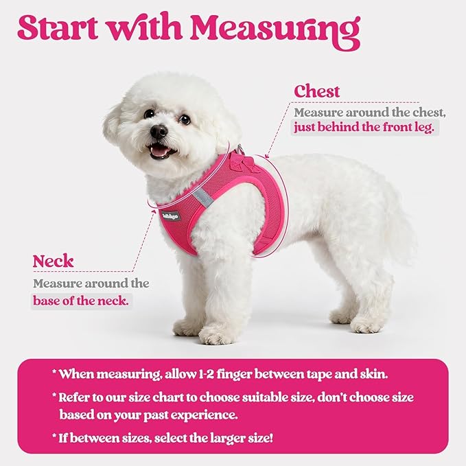 rabbitgoo Dog Harness Small Sized and Leash Set, Step-in Puppy Pet Vest | Light, Soft, Breathable Air Mesh, Easy on and Remove with Hook & Loop, Secure Reflective for Walking, Rose Red S