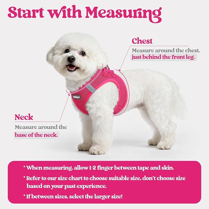 rabbitgoo Dog Harness Small Sized and Leash Set, Step-in Puppy Pet Vest | Light, Soft, Breathable Air Mesh, Easy on and Remove with Hook & Loop, Secure Reflective for Walking, Rose Red M