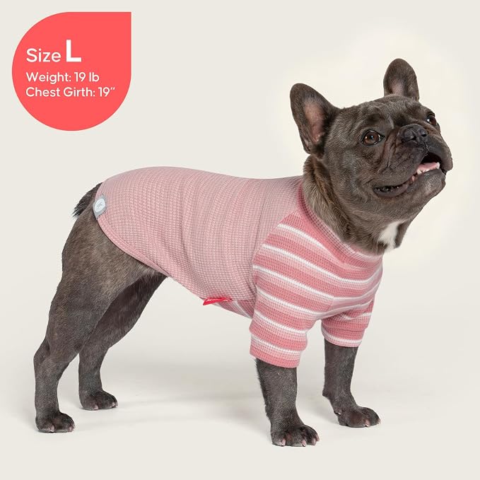 KYEESE 2Pack Waffle Dog Shirt with Sleeves Soft Striped Dog Sweater | Turtleneck, Cozy Warmth. Lightweight & Breathable, Gentle on Sensitive Skin, Free to Move, Comfortable Daily Wear