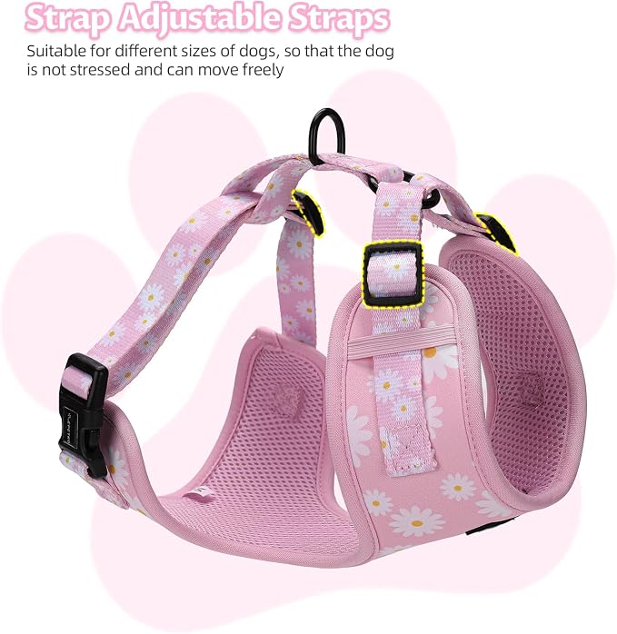 Small Dog Harness and Leash Set of 6, No Pull Soft Lightweight Mesh Puppy Harness， Adjustable Cute Floral Pattern Pet Harness for Small Medium Dogs (Pink Flowers, S)
