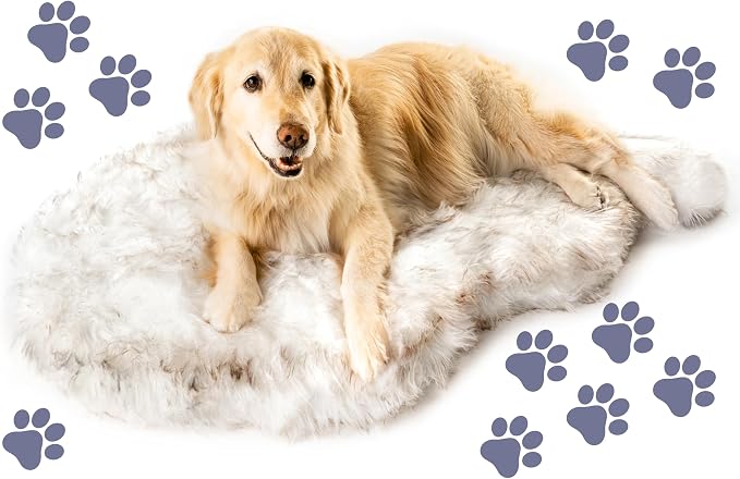 PAW Brands PupRug Orthopedic Memory Foam Dog Bed, White/Brown, 40x25 | Waterproof memory foam bed with washable cover — joint support for medium dogs
