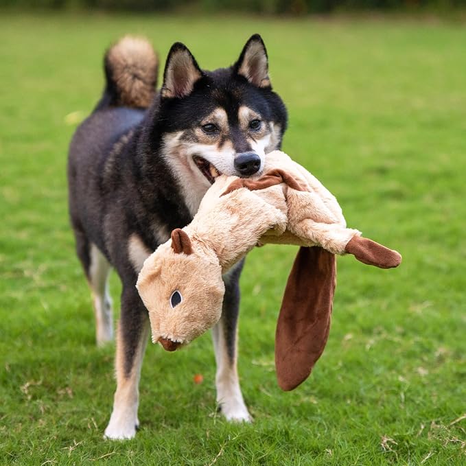 Best Pet Supplies Squeaky Dog Toys with Soft Durable Fabric for Small, Medium and Large Pets Interactive Toy for Indoor Play, Supports Active Biting and Play - Squirrel, Small