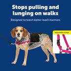 PetSafe Easy Walk No-Pull Dog Harness - The Ultimate Harness to Help Stop Pulling - Take Control & Teach Better Leash Manners - Helps Prevent Pets Pulling on Walks - Small/Medium, Raspberry/Gray