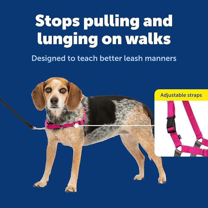 PetSafe Easy Walk No-Pull Dog Harness - The Ultimate Harness to Help Stop Pulling - Take Control & Teach Better Leash Manners - Helps Prevent Pets Pulling on Walks - Small/Medium, Raspberry/Gray