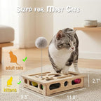 Cat Nail File Scratcher - Solid Wood Puzzle Enrichment Box for Indoor Cats | Interactive Cat Puzzle Box with Cat-Safe 100 Grit Pad for Cat Claw Care,4 Bell Balls, Spring Teaser,Tool-Free, Splinter-Free